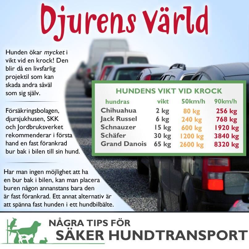 lisas djuraffär värnamo